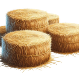 Thanksgivingbliss haybales