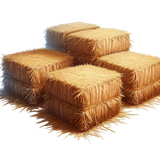 Thanksgivingbliss haybales2