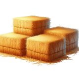 Thanksgivingbliss haybales3