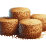 Thanksgivingbliss haybales4