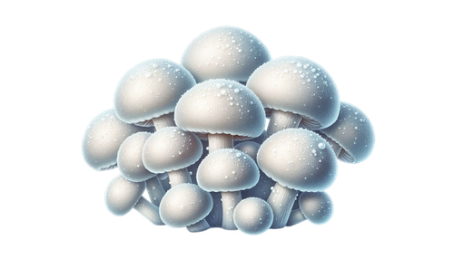 FrostedBeginnings mushrooms1.png