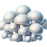 FrostedBeginnings mushrooms1