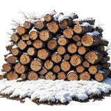 WinterWhispers logs3