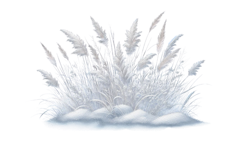 WinterWhispers grass2.png