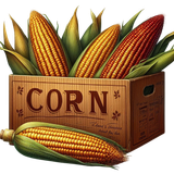 Thanksgivingbliss corn2