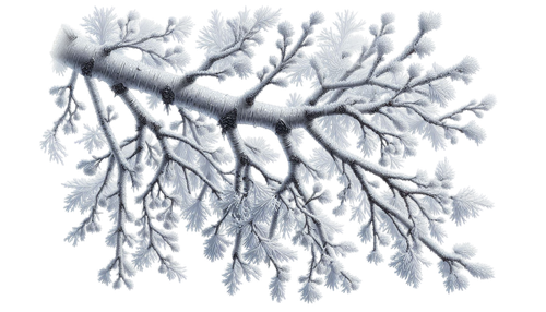 FrostedBeginnings branch2.png