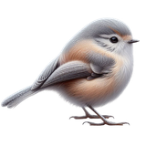 FrostedBeginnings bird3