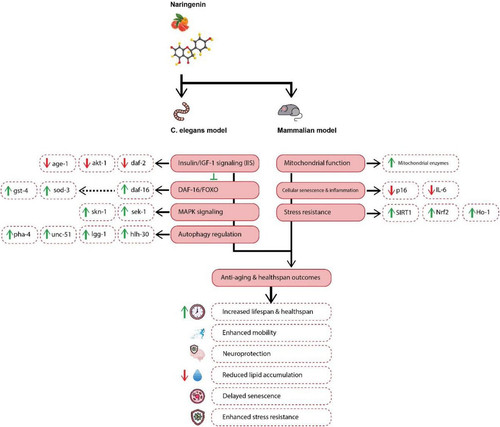 G I8UGQaIAAQ1EO?format=jpg.jpg