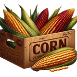 Thanksgivingbliss corn1