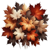 MapleMocha leaves1