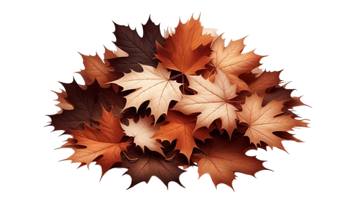 MapleMocha leaves3.png