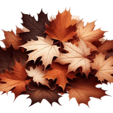 MapleMocha leaves3