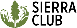 70882e189290.png