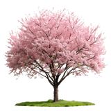 fkoQS4a removebg preview.png