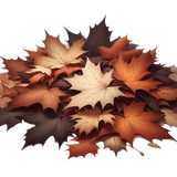 MapleMocha leaves4