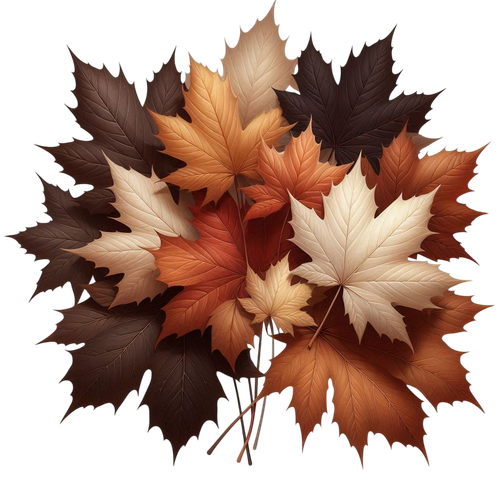 MapleMocha leaves2.png