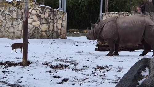 QCUYTIyY4pz1Y 0 .jpg