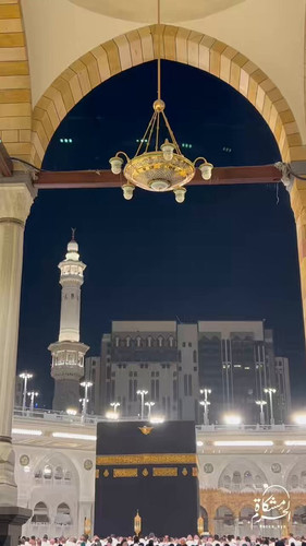 GTn5aNT5g G4FAyc.jpg