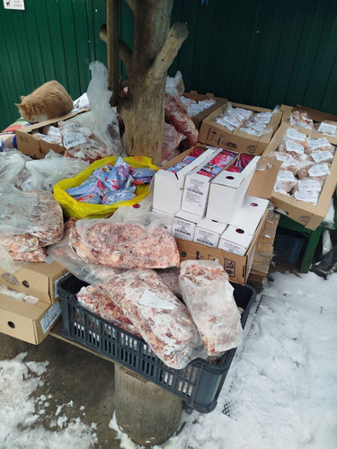 G TyZFLX0AAEpWp?format=jpg.jpg