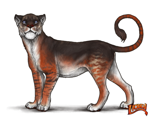 lioden wardrobe (6).png