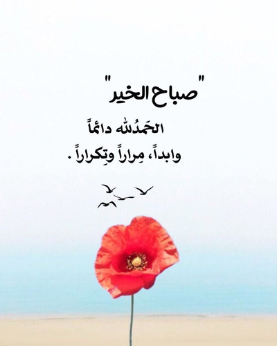 G XTOUdXQAAPM6n.jpg