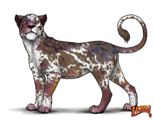 lioden wardrobe (9).png