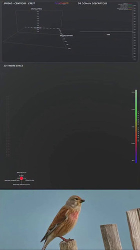 sJlZc2F A5W iVdR.jpg