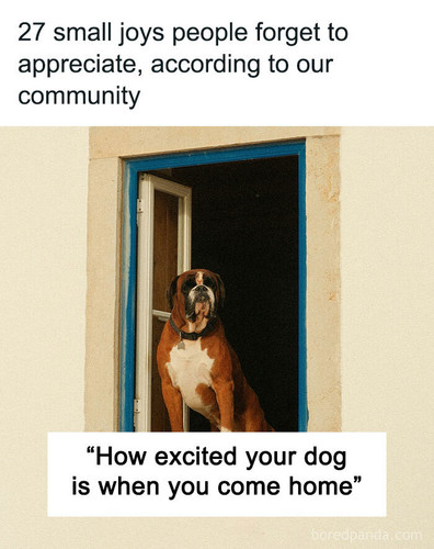 joy people overlook.jpg