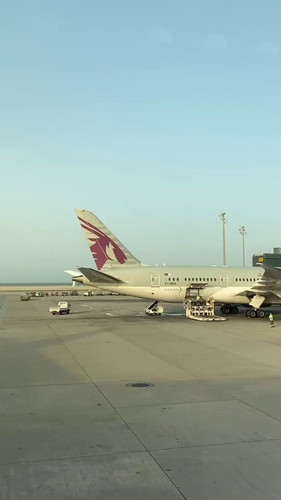 l3rRI3PLw09bkN u.jpg