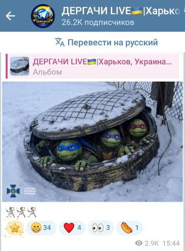 blydPtfRBl6qT1DY FBpC0DoBhir mvMmJ9DQromRvozWK8zdmlRzRPBlKaPrj V3JqTvRJQ3ASCwabwOlNllmng5HFe0lmlk5Iu.jpg