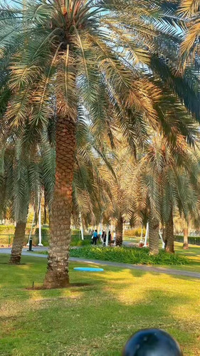 l95d1X NBIr6U5tC.jpg