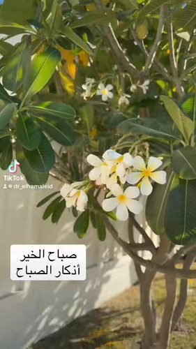 Us JjbcohPdOMZDS.jpg