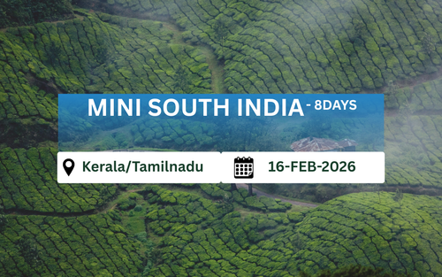 Untitled designxcv.png