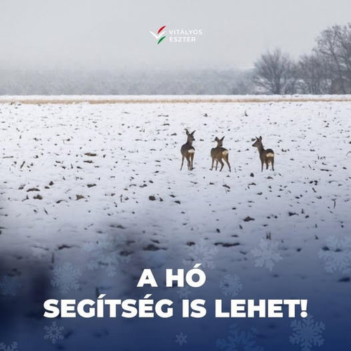 614208701 1450524620417794 6139407177931257066 n.jpg?stp=dst jpg p526x296 tt6& nc cat=104& nc cb=99b.jpg