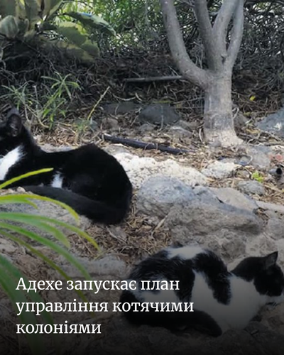 be6d0d358000.png