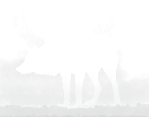 sentinel.png