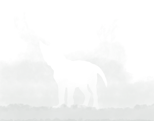 pup.png