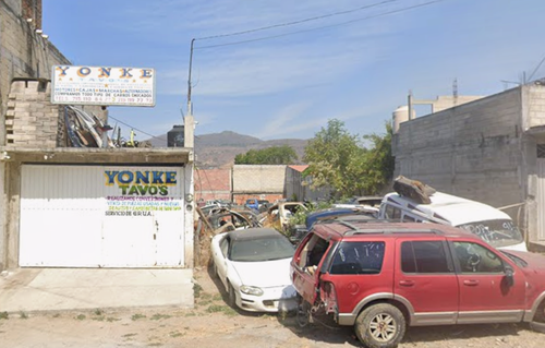 yonke tavos.png