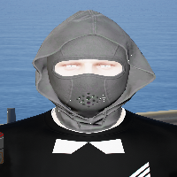 52bfae51ea33.png