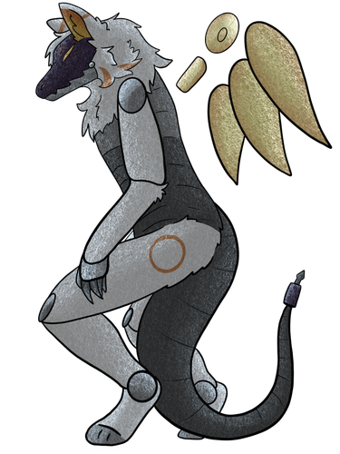 IMG 7702.png