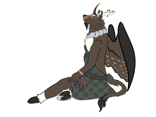 IMG 7797.png