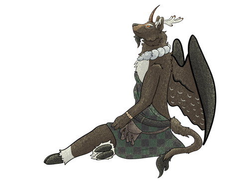 IMG 7726.png