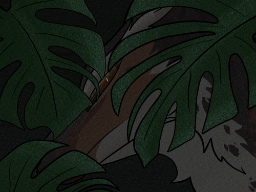 IMG 7699.png