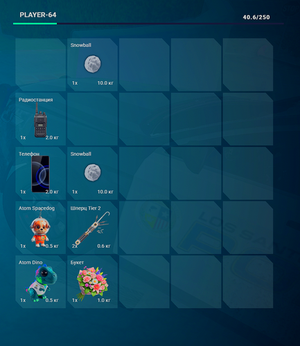 FiveM GTAProcess 0kNjupZJ8G.png