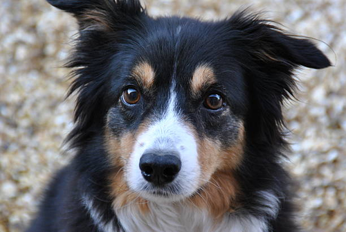 G KgmYaWwAAHOUL?format=png.png