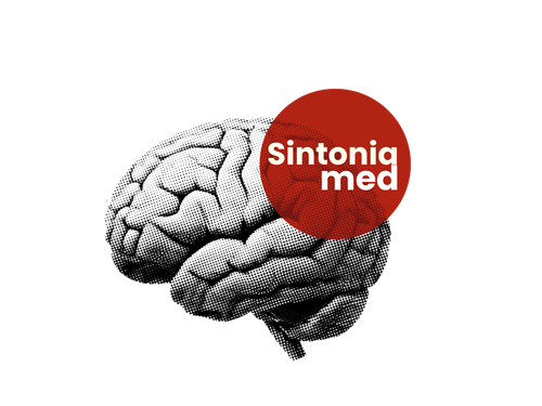 Sublogo 2 sem fundo (3).png