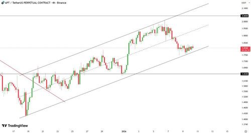 temp photo 13402.jpg