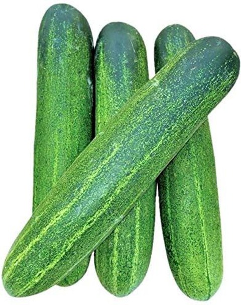 250 kheera cucumber 250 seeds ac.jpg