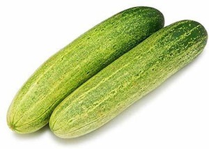 60 f1 vegetable hybrid kheera cu.jpg