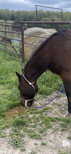 G BmXn5WQAEXBK0?format=jpg.jpg